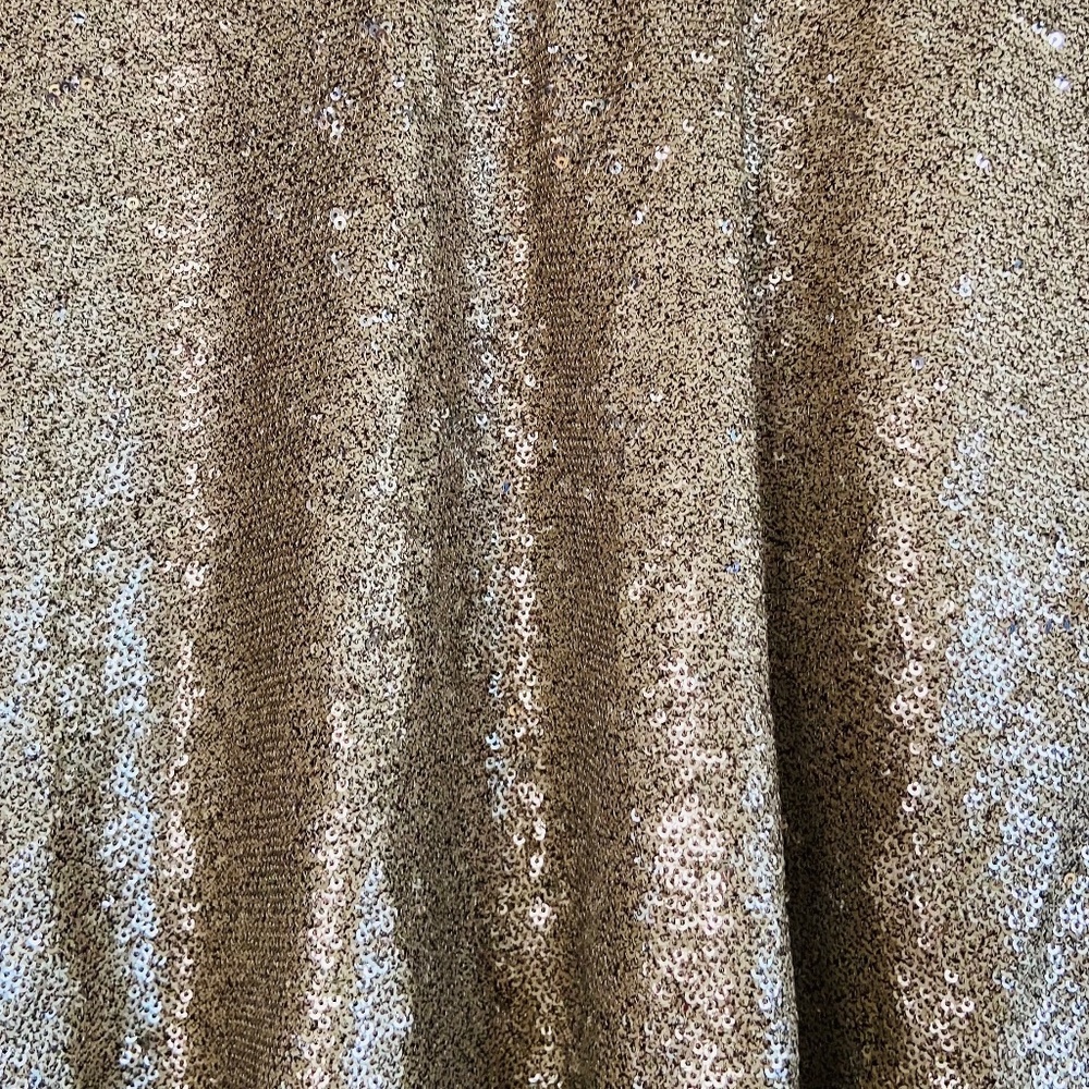 Free People Champagne Dreams Sequin Party Blouse - Picture 8 of 11
